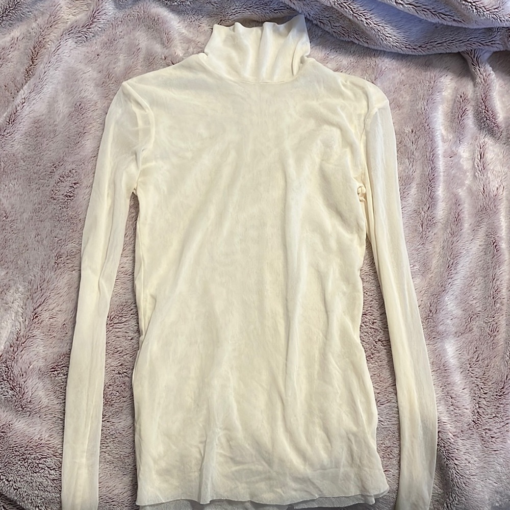 Sheer Turtleneck